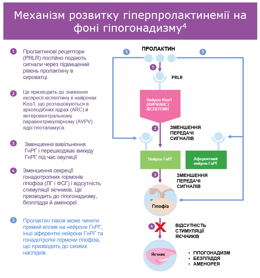 механізм розвитку